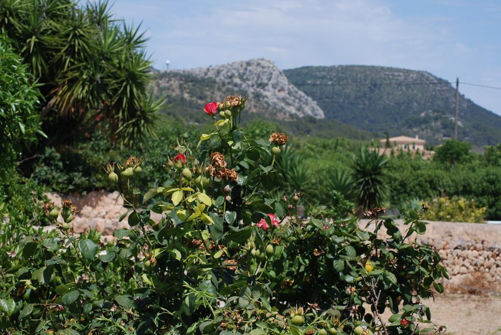 Finca Can Paulino (Adults Only) リュックマヨール 部屋 写真
