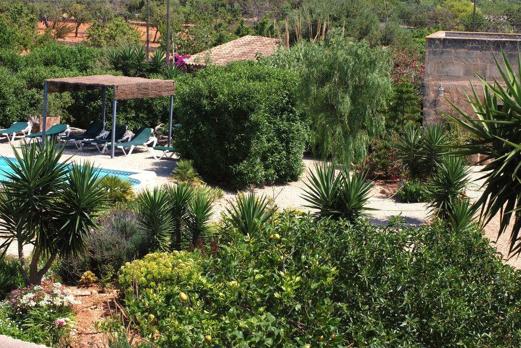 Finca Can Paulino (Adults Only) リュックマヨール 部屋 写真