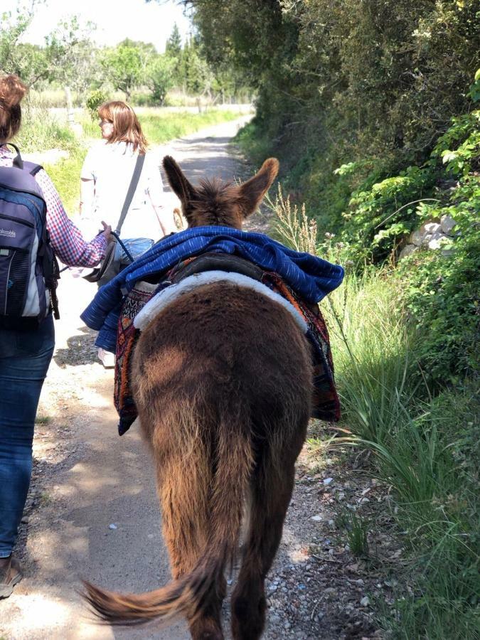 Finca Can Paulino (Adults Only) リュックマヨール エクステリア 写真